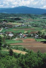 Občina Mirna Peč